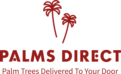 Palms Direct